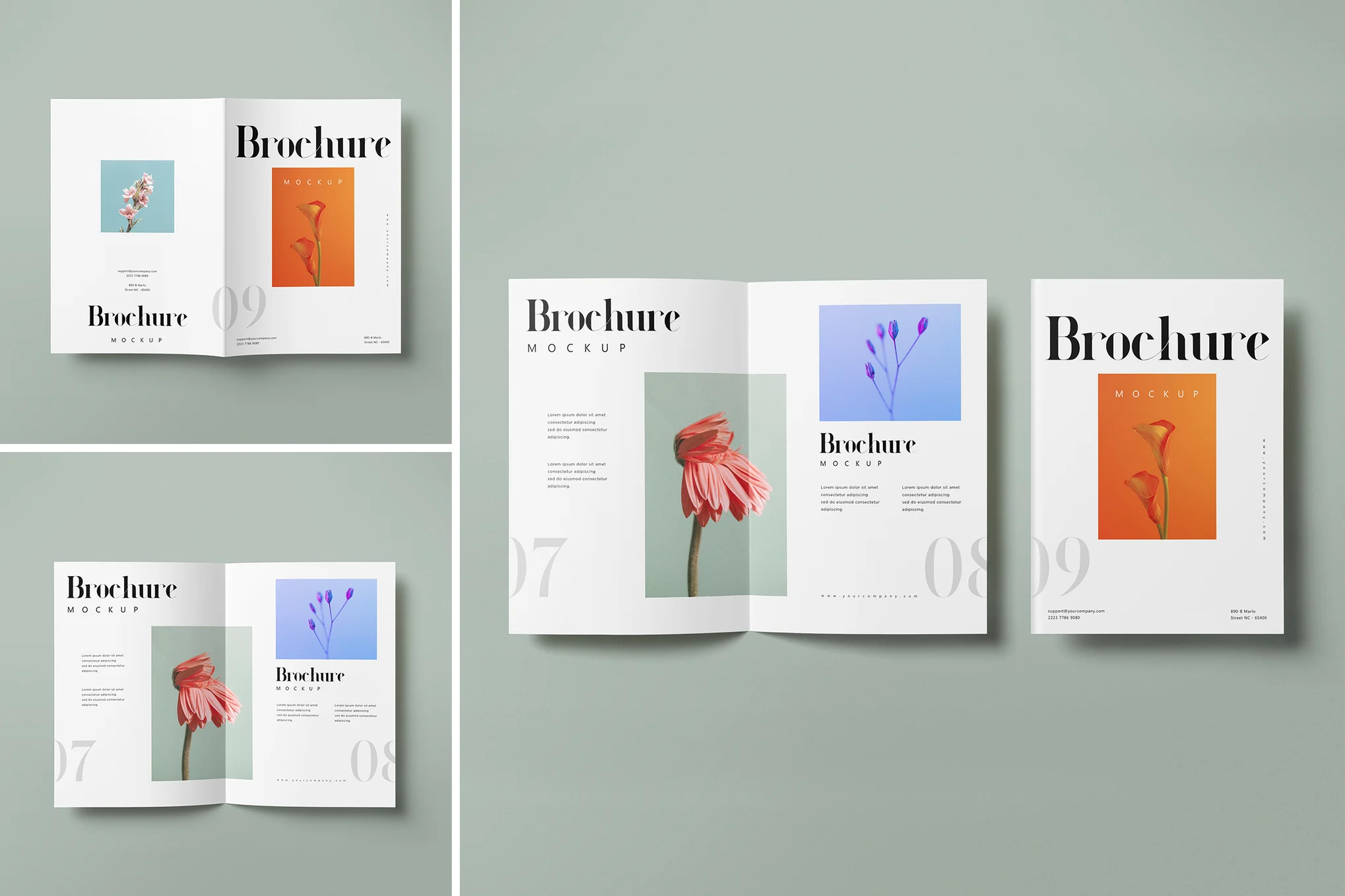 Brochures